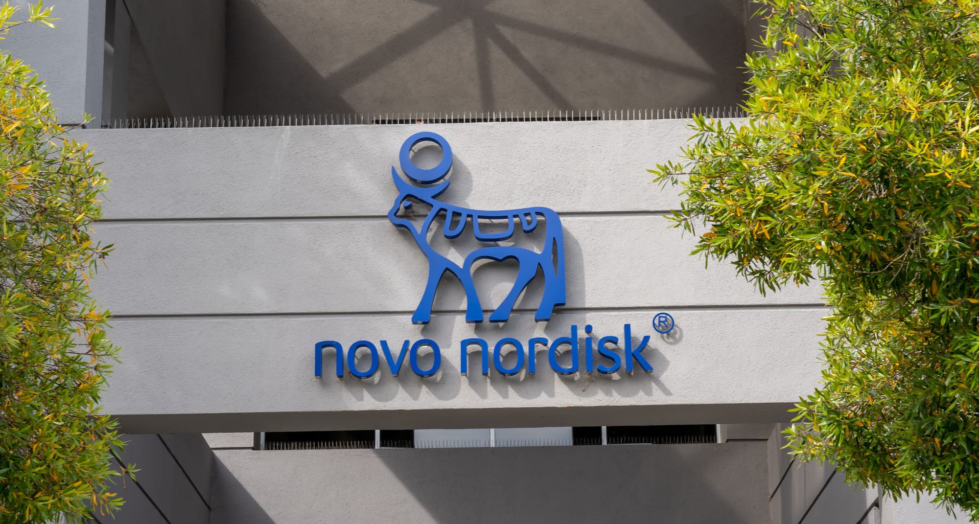 Gewinnwarnung Bei Novo Nordisk: Jetzt Greift Das Pharmaunternehmen Zu Drastischen Maßnahmen! - irx41m3