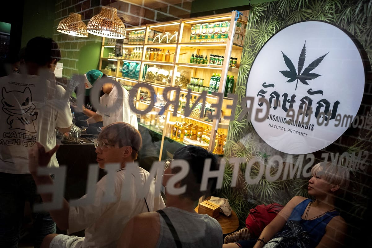Rückwärtsgang in Thailand: Vom Cannabis-Boom zur möglichen Prohibition