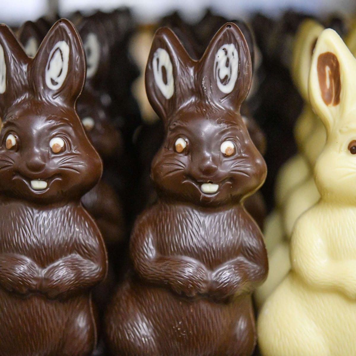 Schokowahl zu Ostern: Farbe entscheidet über Klima