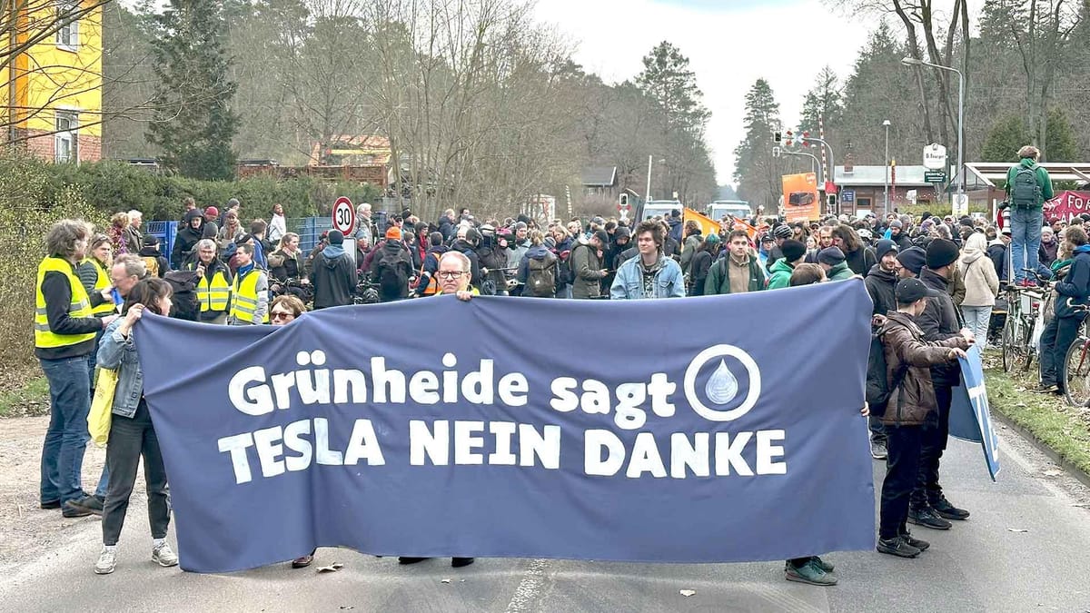 Tesla-Wald in Aufruhr: Kampf gegen Gigafactory-Erweiterung