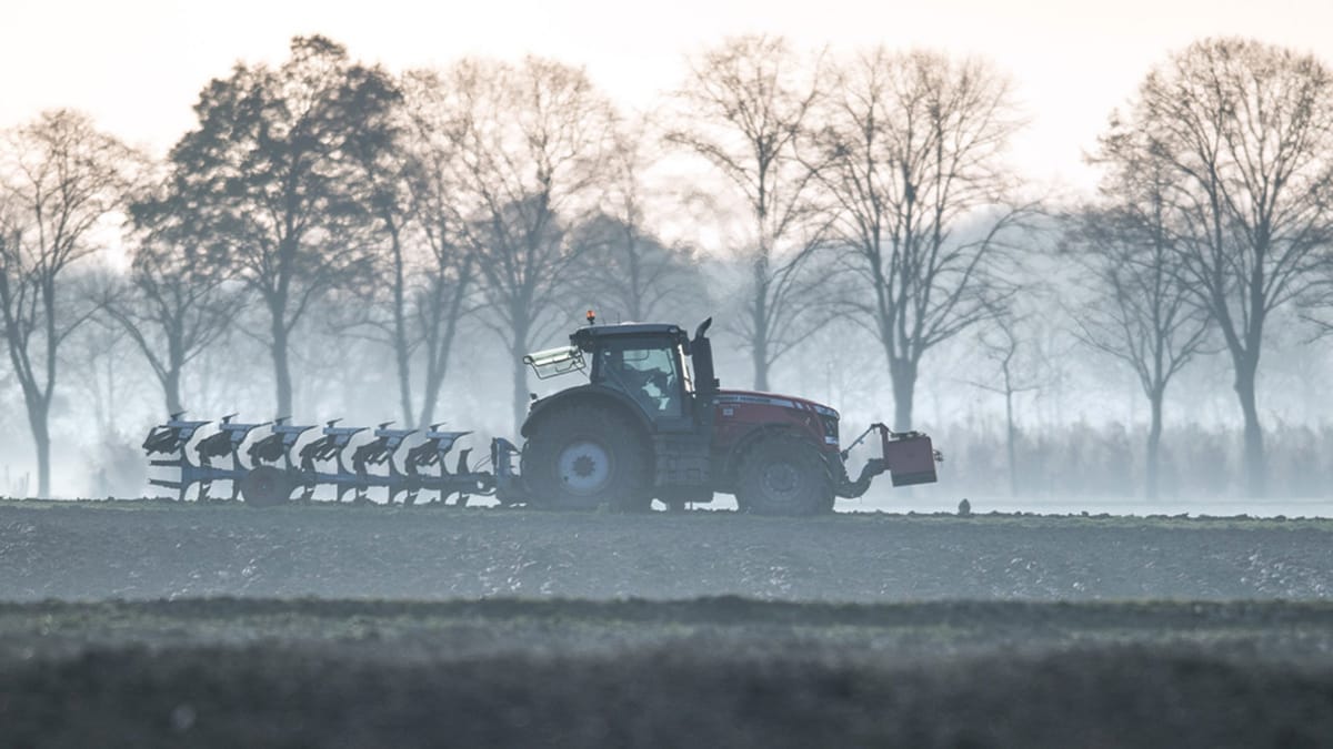 Rekordgewinne verpuffen: Deutsche Landwirte vor unsicherer Zukunft?
