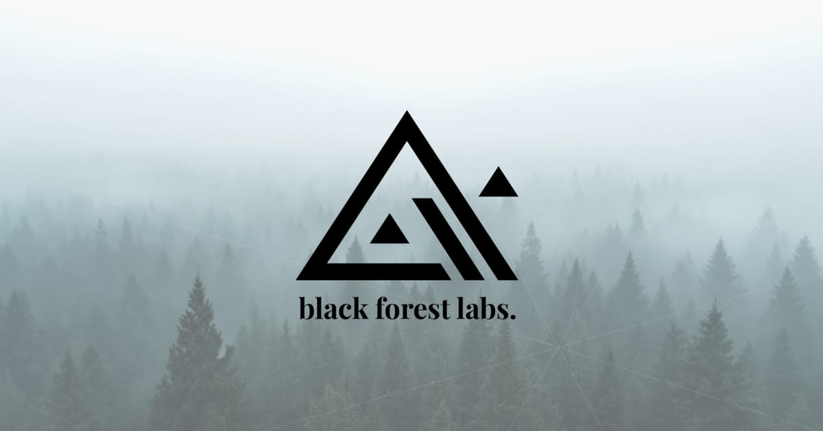Milliardenjagd im Schwarzwald: Black Forest Labs peilt Vierfach-Bewertung an