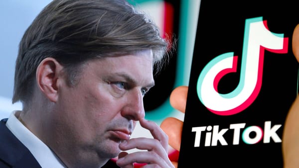 TikTok: Spielwiese der AfD für Europawahl?