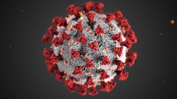 Ungeahnte Gefahr: Coronaviren bedrohen die Sehfunktion?
