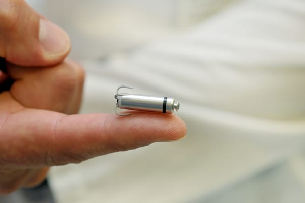 Wie essbare Energiezellen die Medizintechnik verändern könnten