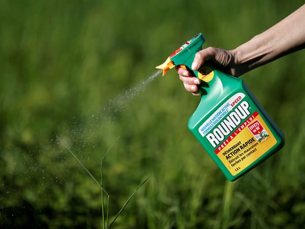 Supreme Court soll über Glyphosat-Streit entscheiden