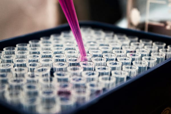 Gesundheitsaktien brechen ein – und bieten nun Einstiegschancen