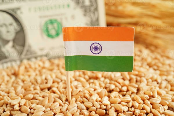 Indien zieht durch – Warum der Subkontinent Anlegern davonläuft
