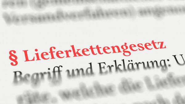 Lieferkettengesetz entkernt – Berlin stoppt Sanktionen fast komplett