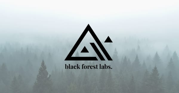 Milliardenjagd im Schwarzwald: Black Forest Labs peilt Vierfach-Bewertung an
