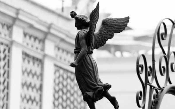 Wie Anleger mit „Fallen Angels“ die Zwangsverkäufe ausnutzen