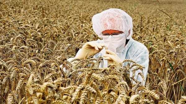 Europa verändert die Regeln für die Gentechnik