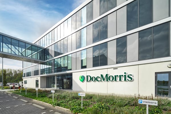 DocMorris-Knall: Warum diese Zahlen Ihr Depot für immer verändern