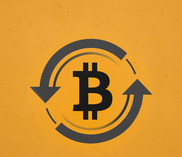 500 Milliarden verbrannt: Michael Burry warnt vor unaufhaltsamer Bitcoin-Todesspirale