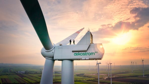 Ökostrom-Irrsinn: 435 Millionen Euro Entschädigung für Strom, den niemand nutzen kann